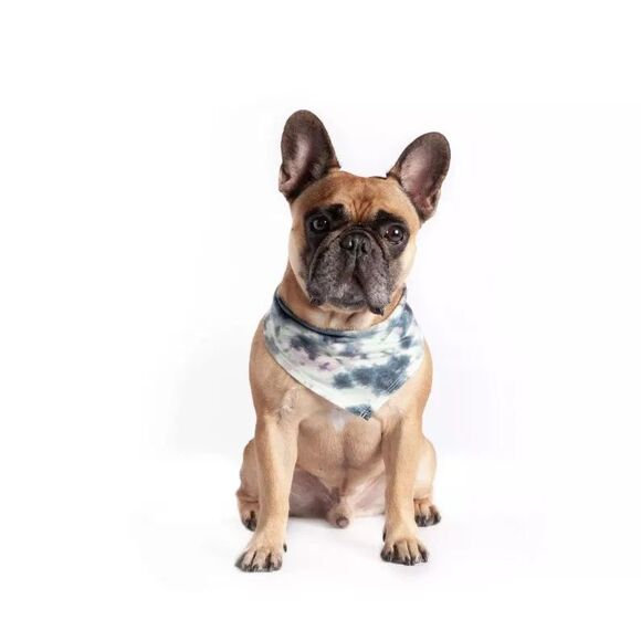 Coco + Rebel Pet Tie-Dye Triangle Bandana for Dogs Size XS/S, 2-pack - Picture 3 of 6